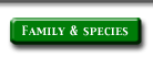 families & species