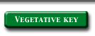 vegetative key